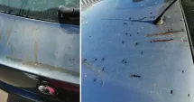 Stire din Eveniment : Răzbunare cu acid de baterie. Un bărbat și-a distrus mașina cumnatului, deși avea ordin de protecție