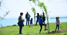 Stire din Social : Acțiune de curățenie în Amfiteatrul din Parcul Tăbăcărie
