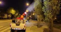 Stire din Social : Au fost intensificate acțiunile de dezinsecție în municipiul Constanța!