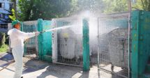 Stire din Social : Acțiuni de dezinfecție a platformelor de deșeuri, în municipiul Constanța