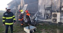 Stire din Eveniment : Hală cu 9.000 de găini ouătoare, arsă într-un incendiu