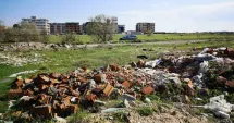 Stire din Politică-Administrație : Contractele de salubrizare pentru Zonele 1 și 3 din județul Constanța au fost atribuite de ADI Dobrogea