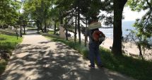 Stire din Politică-Administrație : Administrația locală din Constanța continuă acțiunile de dezinsecție