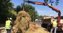 Stire din Politică-Administrație : Administrația locală continuă lucrările de igienizare în cartierele din Constanța