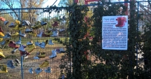 Stire din Social : Adoptă o ghetuță de Moș Nicolae,  în Tărâmul Magic al Crăciunului