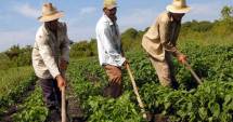 Stire din Economie : A fost aprobat registrul agricol pentru perioada 2015-2019