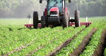 Stire din Economie : APIA a demarat autorizarea la plată a Ajutoarelor Naționale Tranzitorii