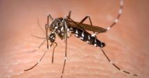 Stire din Social : Virusul West Nile face prăpăd! Șapte cazuri noi