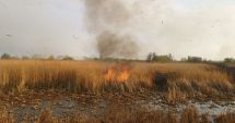 Stire din Eveniment : UPDATE! Incendiu într-o zonă protejată din Delta Dunării!