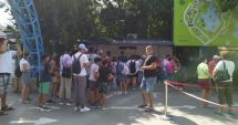 Stire din Social : În continuare, aglomerație la Delfinariul din Constanța. În week-end se suplimentează reprezentațiile cu delfinii și leii de mare
