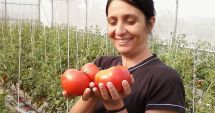 Stire din Social : Locuri de muncă vacante în Spaţiul Economic European. Ce meserii se caută