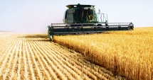 Stire din Economie : Se înființează funcția de atașat agricol