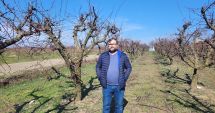 Stire din Economie : Cercetarea, la pământ! "Mina de aur" a Constanţei pentru care nu există interes
