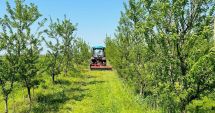 Stire din Economie : "Vânzările merg greu, iar oamenii serioşi sunt pe cale de dispariţie!"