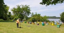Stire din Economie : Coşmar! Crescătorii de albine, sabotaţi de secetă şi de concurenţa neloială a produselor din Ucraina