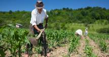 Stire din Economie : Agricultura va primi 9,363 miliarde de euro până în 2020
