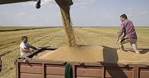 Stire din Economie : Agricultura a relansat comerțul en-gros