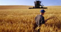 Stire din Social : ITM. Ce au găsit inspectorii de muncă la angajatorii din agricultură