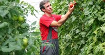Stire din Economie : Agricultura, pe scurt