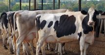 Stire din Economie : APIA, pregătită informatic să plătească în avans fermierii care au depus cereri de plată în 2024