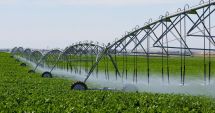 Stire din Economie : Agricultorii cer sprijinul statului pentru investiţii în sistemele de irigaţii