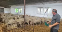 Stire din Economie : Răducu Radu: „Noi nu vindem miei de Paște, noi dăm viață și trebuie să fim sprijiniți de stat!“