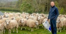 Stire din Economie : Sprijin financiar în valoare de aproape patru milioane lei pentru crescătorii de animale