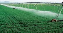 Stire din Economie : Agricultura viitorului și dezvoltare rurală în România
