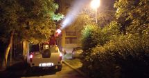Stire din Social : A început acţiunea de stropire a copacilor, la Constanţa