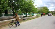 Stire din Cetățenești : Ai pomi în curte? Când riști amenzi colosale