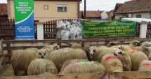 Stire din Social : LECȚIE DE VIAȚĂ! Iată cum a fost ajutat un fermier a cărui gospodărie a fost distrusă de incendiu