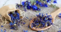 Stire din Sănătate : Infuzia delicată care poate aduce beneficii întregului organism