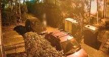 Stire din Eveniment : Clipe de groază pe o alee. O tânără a fost tăiată după ce s-a luptat cu un bărbat care a atacat-o