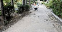 Stire din Social : Lucrări de reabilitare și modernizare în centrul Constanţei
