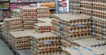 Stire din Social : Alertă sanitară înainte de Paşte: milioane de ouă suspecte de contaminare cu Salmonella retrase de pe piaţă
