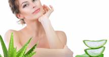 Stire din Sănătate : Aloe Vera. Vindecă și înfrumusețează