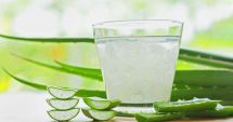 Stire din Sănătate : Sucul de aloe vera previne dezvoltarea multor afecţiuni