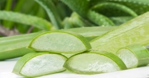 Aloe vera tratează constipația și întărește sistemul imunitar