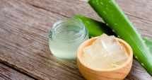 Stire din Sănătate : Gelul de aloe vera vă estompează ridurile