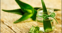 Stire din Sănătate : Când este bine  să folosești Aloe Vera