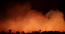 Stire din Actualitate : Incendiile din Amazonia / Brazilia acceptă în cele din urmă ajutorul extern
