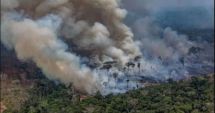 Stire din Actualitate : Brazilia refuză cei $20 de milioane oferiți de G7 pentru stingerea incendiilor din Amazon