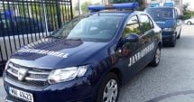 Stire din Eveniment : Amendată cu 1.500 de lei pentru că nu și-a supravegheat câinele