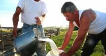 Stire din Economie : Amenzi de 500 - 1.000 lei pentru întârzierea declarării achizițiilor de lapte