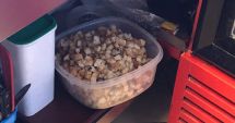 Stire din Social : Amenzi de mii  de lei pentru neregulile găsite  în restaurantele  de pe litoral