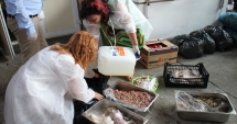Stire din Social : SANCȚIUNI DRASTICE, PE LITORAL, ÎN URMA CONTROALELOR