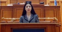 Stire din Politică-Administrație : Ana Birchall:  "OUG 13 este  un subiect încheiat"