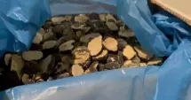 Stire din Eveniment : Evaziune uriașă cu trufe și fructe de pădure. Zeci de tone confiscate în controale fulger