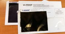 Stire din Economie : ANAF trimite scrisori agriculturilor cu datorii la stat
