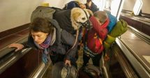 Stire din Actualitate : Animalele de companie ale refugiaților din Ucraina vor putea fi găzduite într-un adăpost specializat din Galaţi